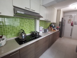 Blk 123 Paya Lebar Way (Geylang), HDB 5 Rooms #216055211
